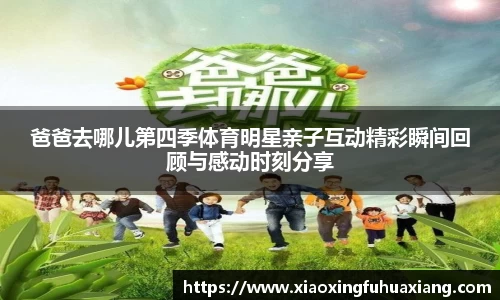 bsports官网入口