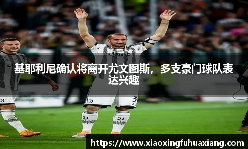 bsports登录入口