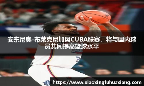 Bsports网页版