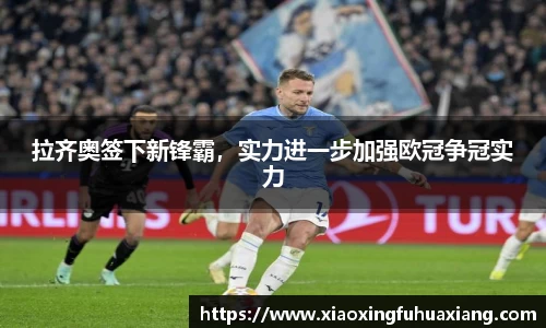 bsports官网入口