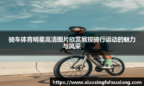 骑车体育明星高清图片欣赏展现骑行运动的魅力与风采