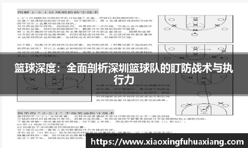 篮球深度：全面剖析深圳篮球队的盯防战术与执行力