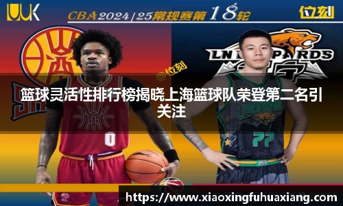 篮球灵活性排行榜揭晓上海篮球队荣登第二名引关注