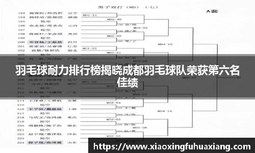 羽毛球耐力排行榜揭晓成都羽毛球队荣获第六名佳绩