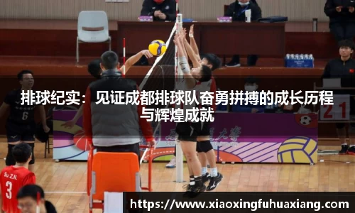 排球纪实：见证成都排球队奋勇拼搏的成长历程与辉煌成就