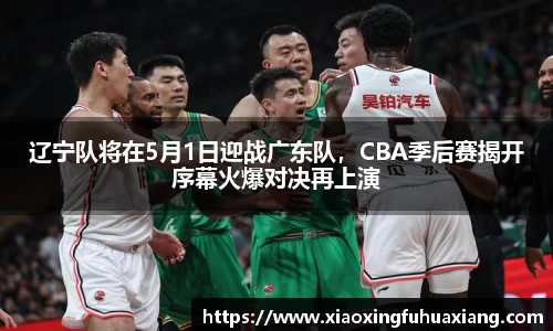 bsports官网入口
