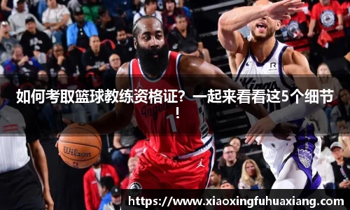 bsports登录入口