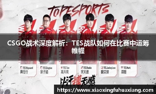 CSGO战术深度解析：TES战队如何在比赛中运筹帷幄