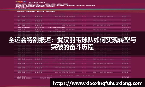 bsports登录入口