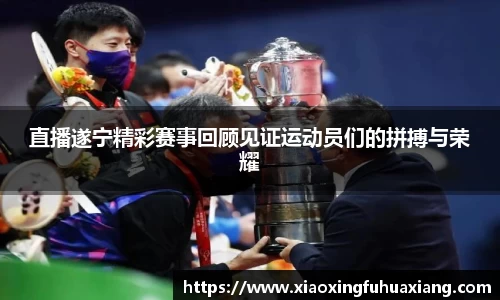 bsports官网入口