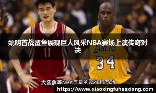 bsports官网入口