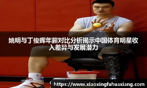 姚明与丁俊晖年薪对比分析揭示中国体育明星收入差异与发展潜力