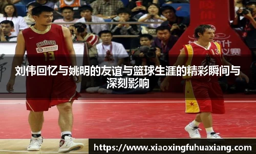bsports登录入口