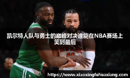 bsports登录入口