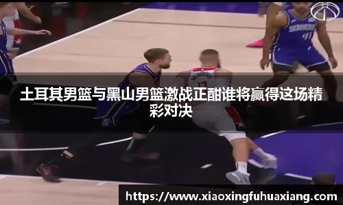 bsports登录入口