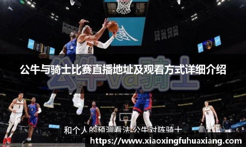 bsports官网入口