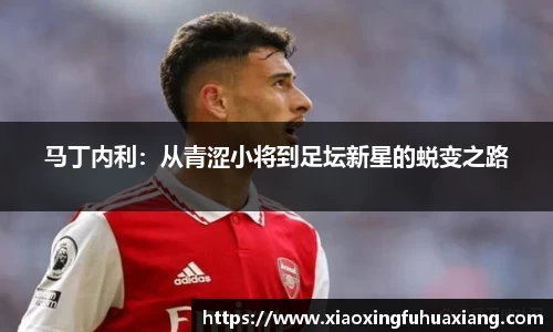 马丁内利：从青涩小将到足坛新星的蜕变之路