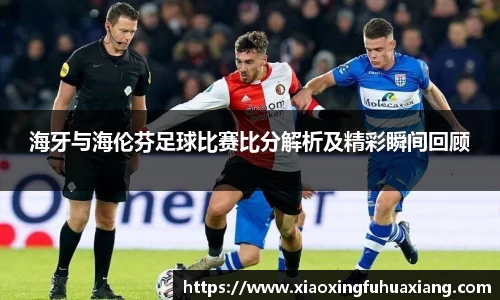 bsports官网入口