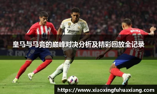 bsports官网入口