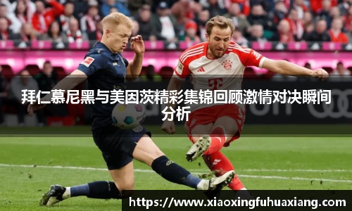 bsports官网入口