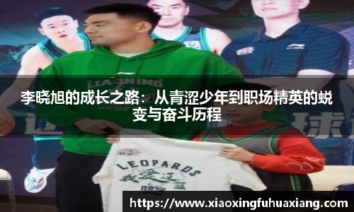 bsports登录入口