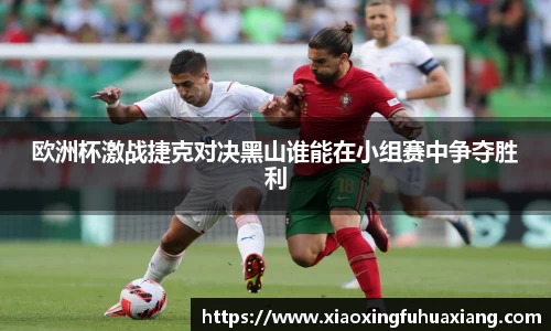 欧洲杯激战捷克对决黑山谁能在小组赛中争夺胜利