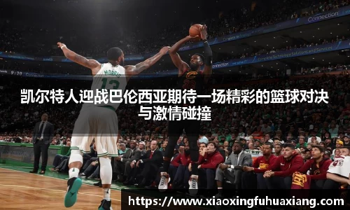 bsports官网入口