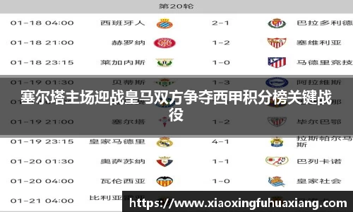 bsports登录入口