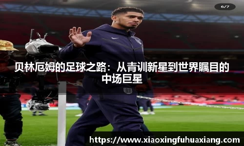 bsports官网入口