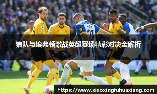 bsports登录入口