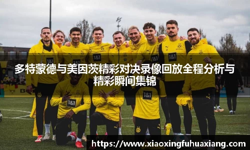 多特蒙德与美因茨精彩对决录像回放全程分析与精彩瞬间集锦