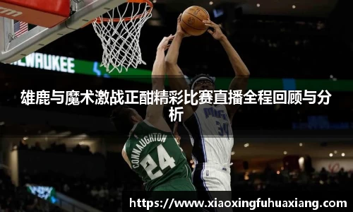 bsports官网入口