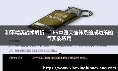 和平精英战术解析：TES中路突破体系的成功策略与实战应用