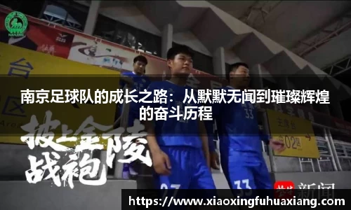 bsports登录入口