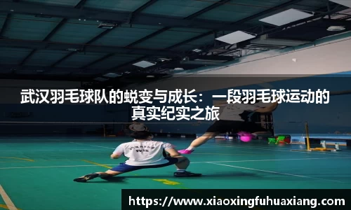 bsports官网入口