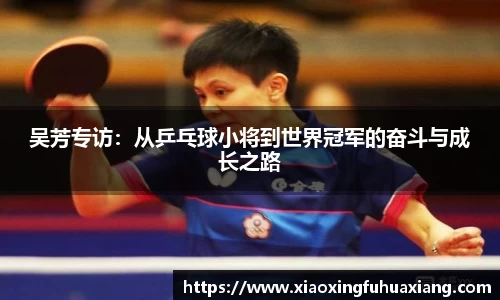 bsports登录入口