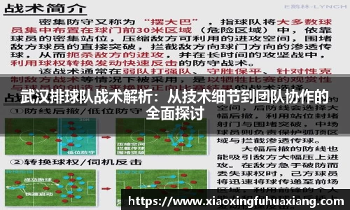 bsports官网入口