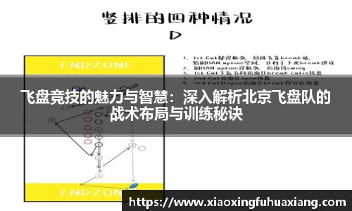 bsports登录入口