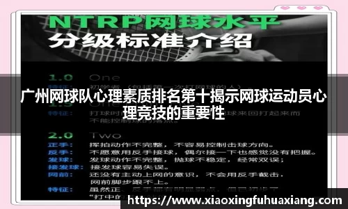 bsports登录入口