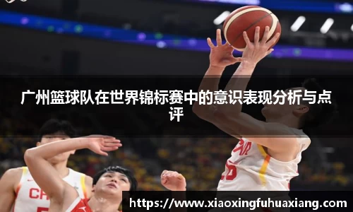 bsports官网入口