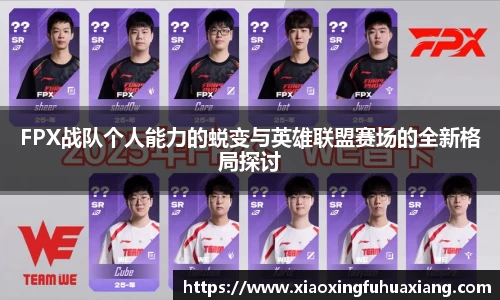bsports登录入口
